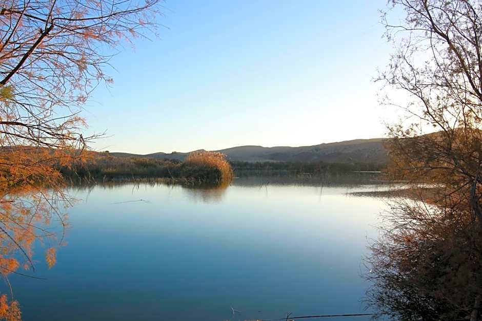 עדן במדבר - eden in desert