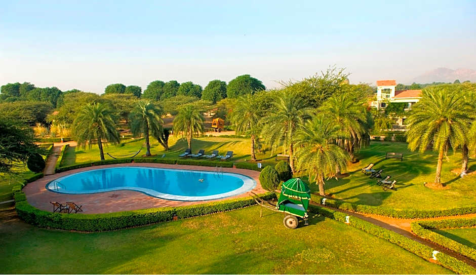 Clarks Safari Pushkar