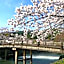 15 mins walk to Kyoto Station/5 mins to metro station B46-5