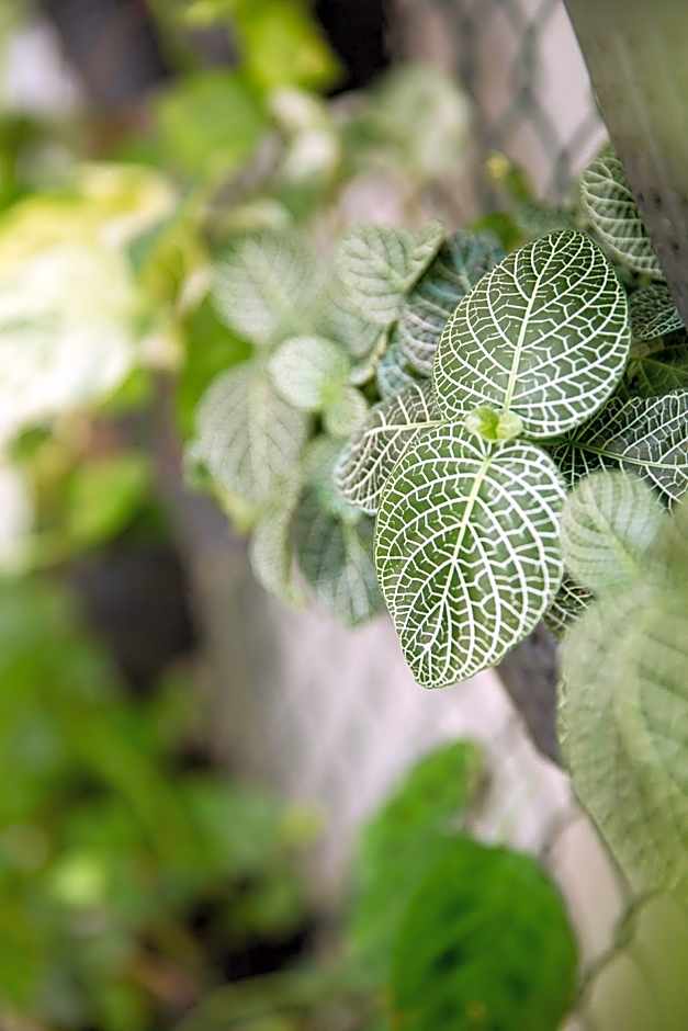 Best Western El Dorado Panama Hotel