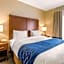 Comfort Inn & Suites IAH Bush Airport - East