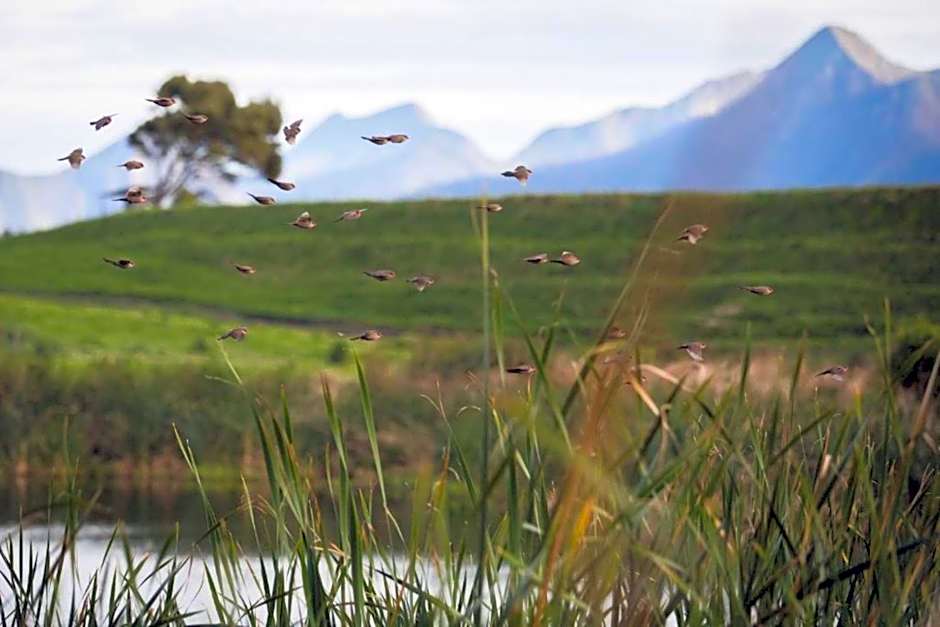 Misty Mountain Reserve
