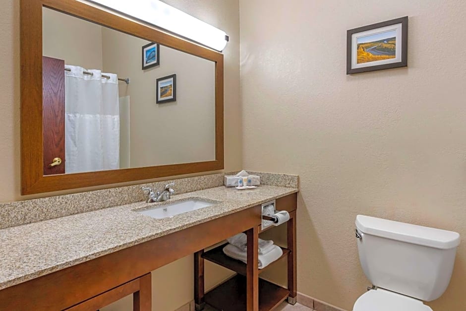 Comfort Inn & Suites St Louis-O'Fallon