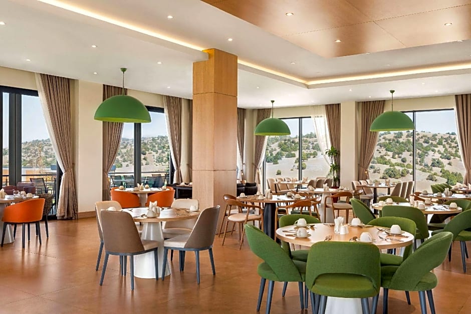 Wyndham Garden Zomin