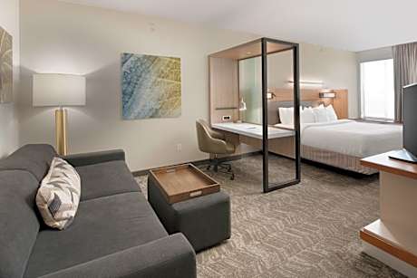King Suite with Bathtub and Trundle Sofa - Mobility Access