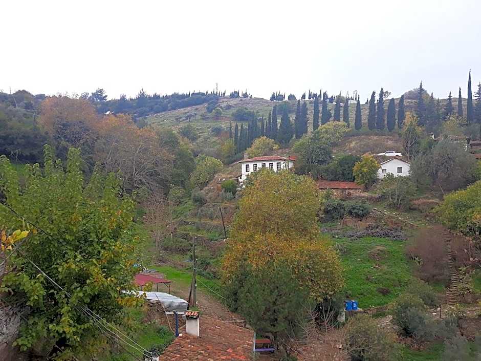 Sirince Dogadaki Evler