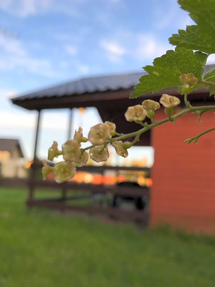 Domki letniskowe u Marty