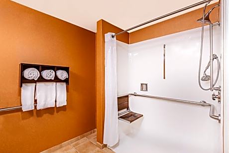 Standard King Room with Mobility Accessible Roll-In Shower