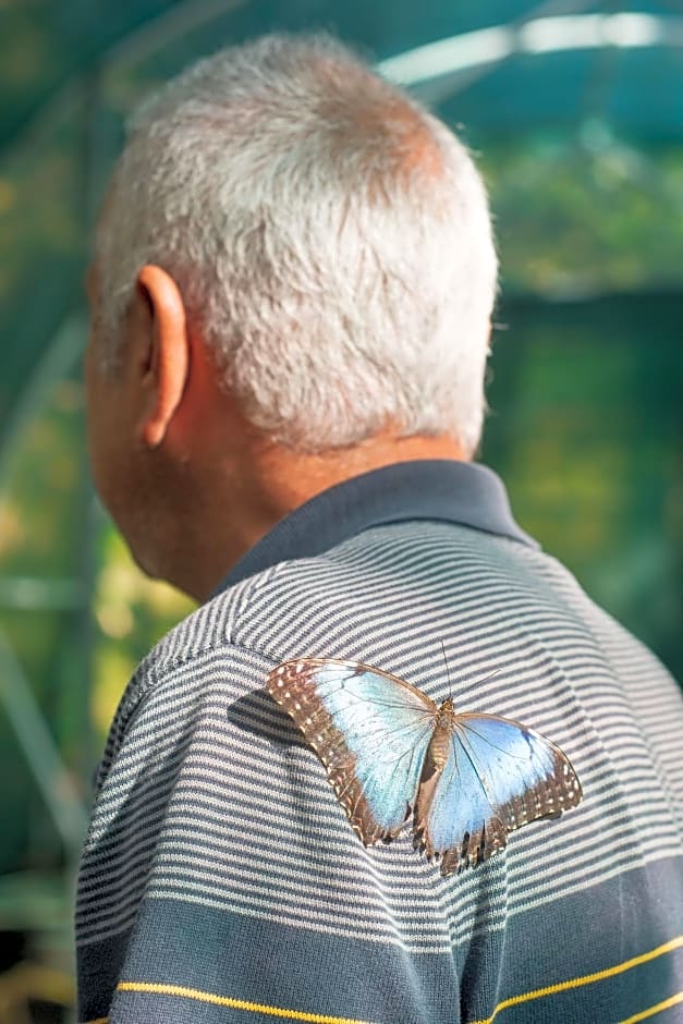 Paraiso Volcano Lodge