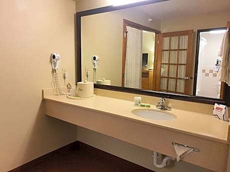 1 King Bed, One Bedroom Suite, Non- Smoking