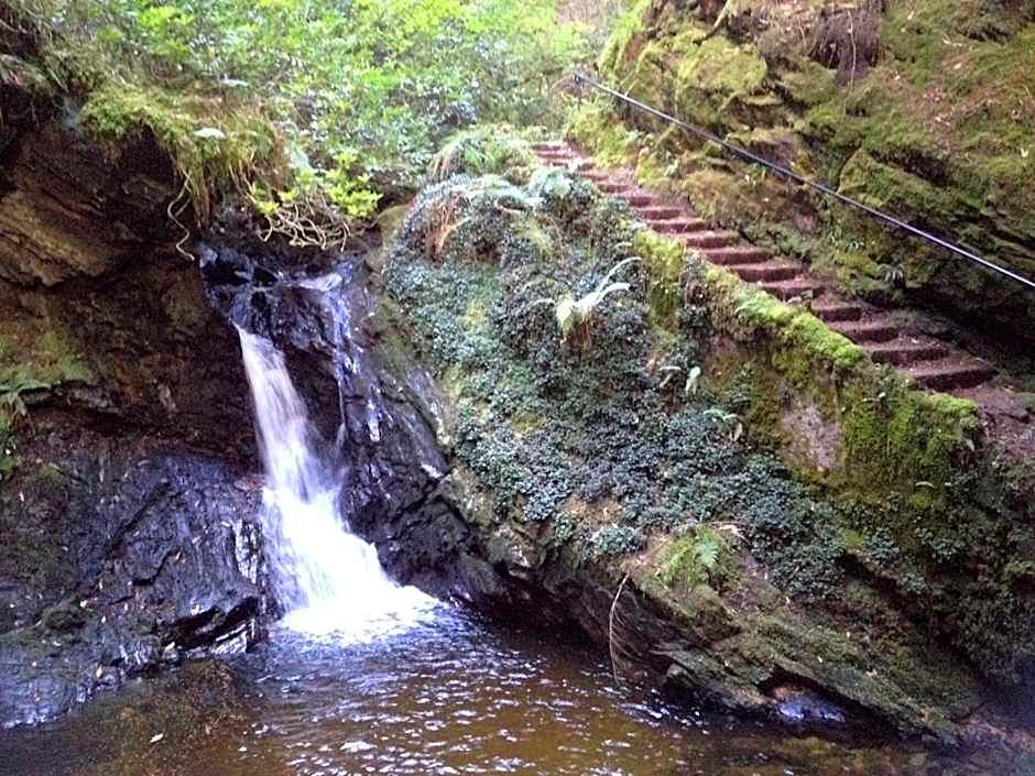 Pucks Glen Lodges, Rashfield, by Dunoon