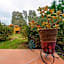 B&B Gassa d'Amante