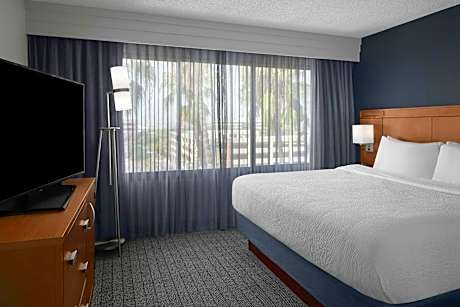 One-Bedroom King Suite with Sofa Bed