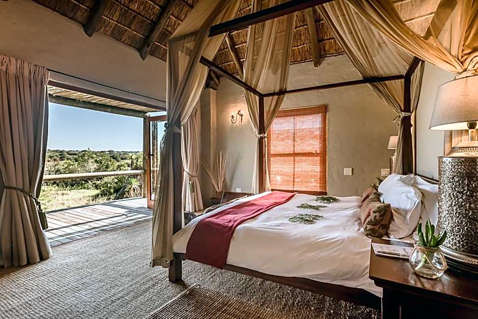 Hlosi Game Lodge - Amakhala Game Reserve