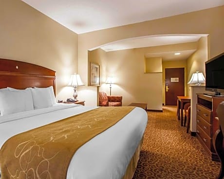 1 King Bed, Suite, Nonsmoking