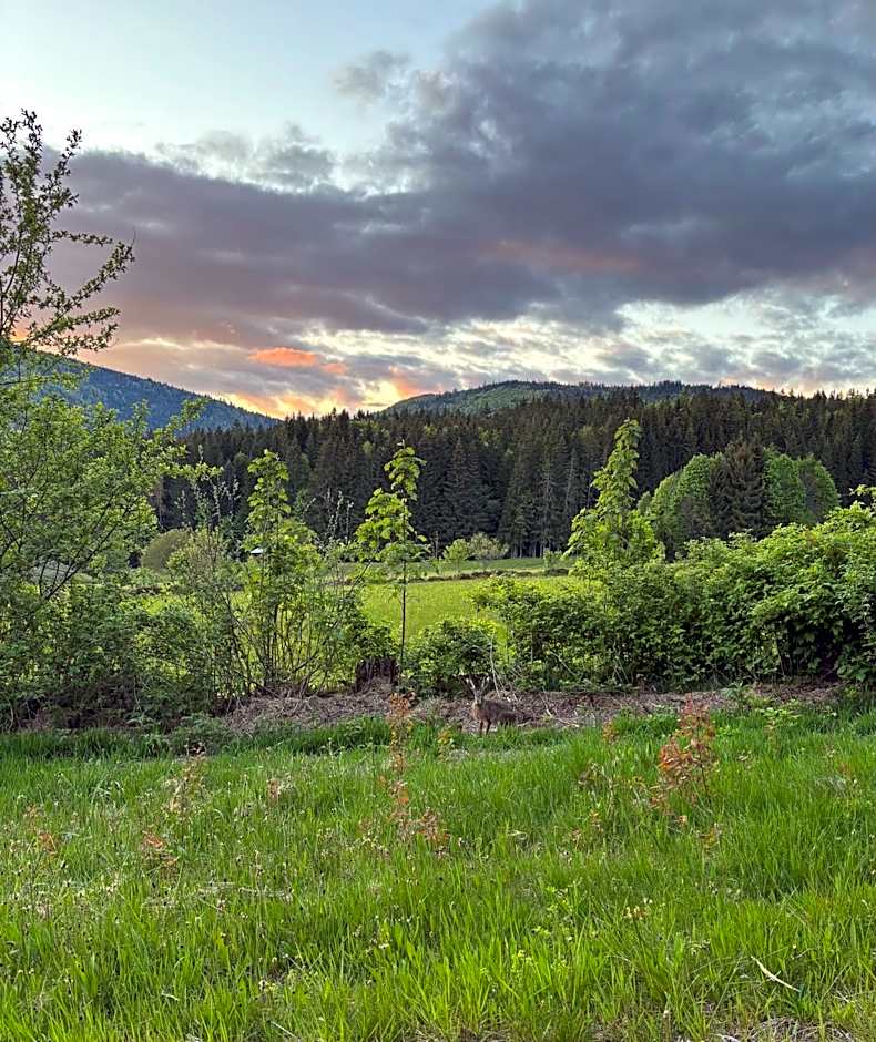 Landhotel Bärnriegel