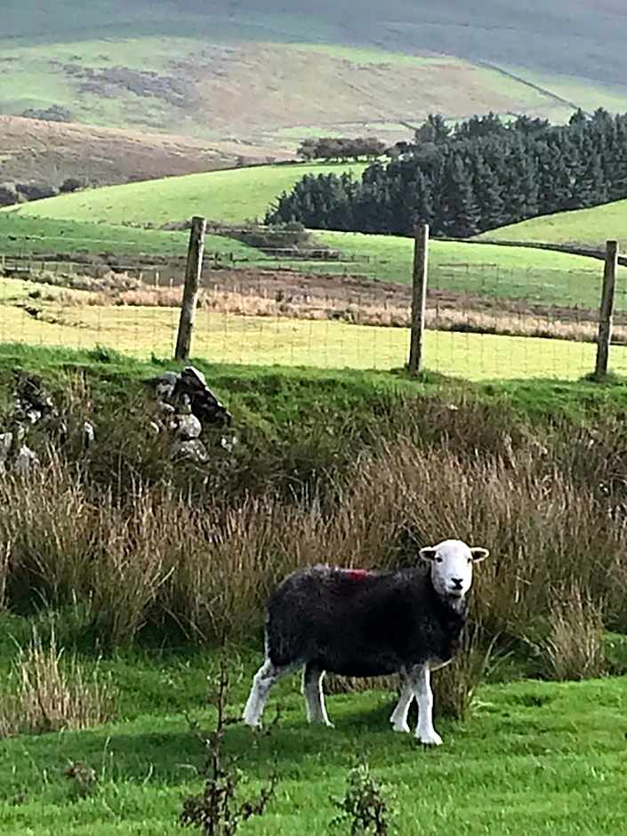 Dale View bed & breakfast