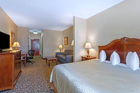 Suite-1 King Bed, Non-Smoking, 32-Inch Lcd Television, Sitting Area, Microwave And Refrigerator, Sof