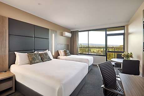Superior Twin Room with Park View