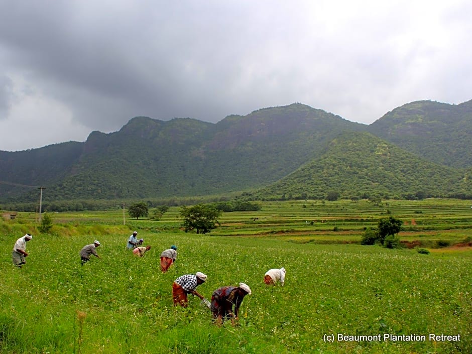 Beaumont Plantation Retreat