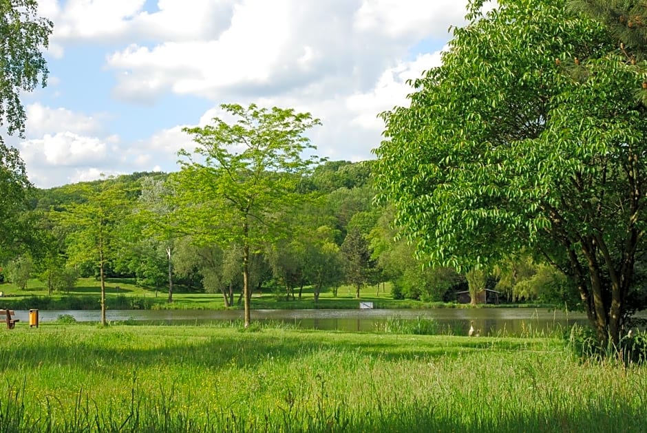 Hotel am Steinertsee