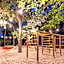 Club del Sole Viareggio Family Collection