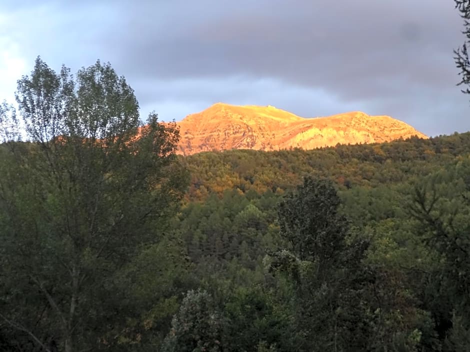 Maison d'hôtes l'Arnica