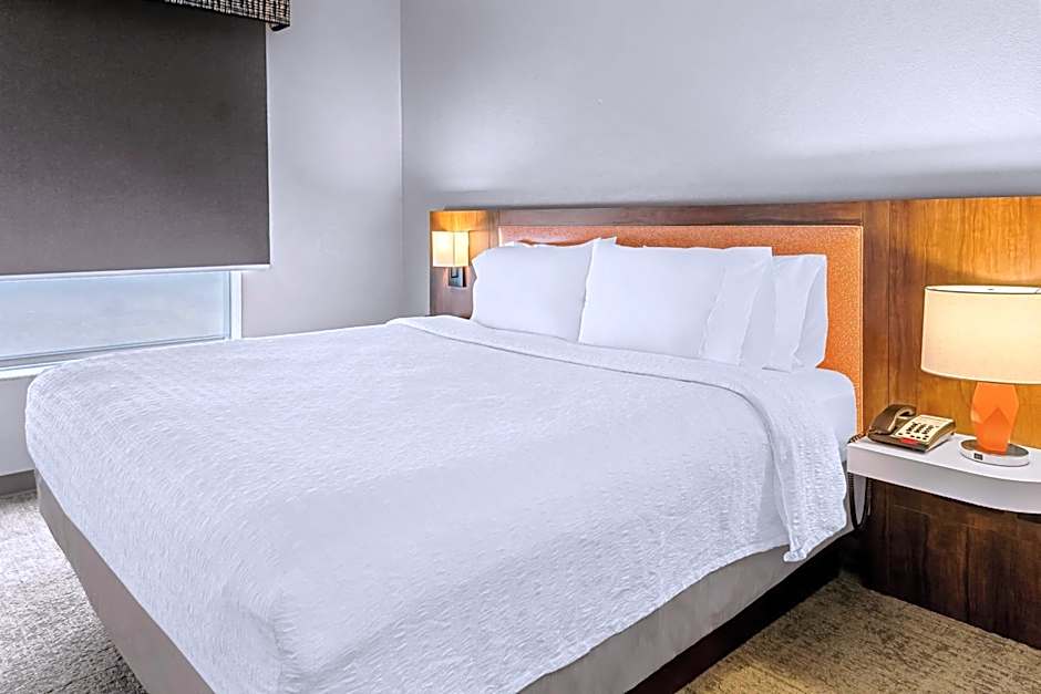 Hampton Inn By Hilton & Suites Abilene I-20 Tx