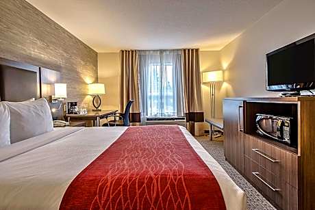 1 Queen Bed, Nonsmoking, Accessible