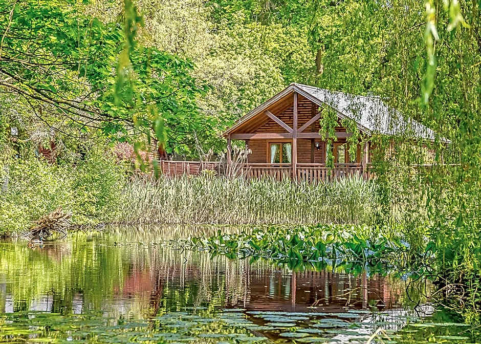 Tilford Woods Lodge Retreat