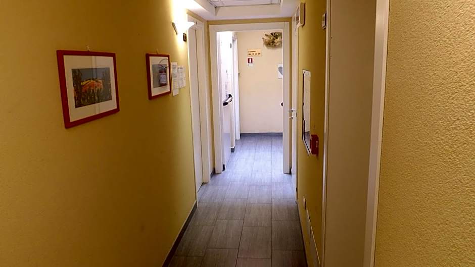 Hotel Alga