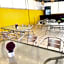 Hotel Amigo Suites