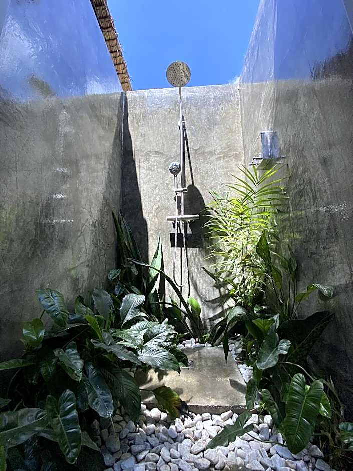 Wild Monkeys Hostel