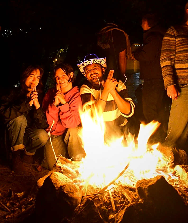 Wild Elephants Hostel