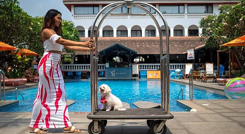 Ronil Goa, Part of JDV By Hyatt