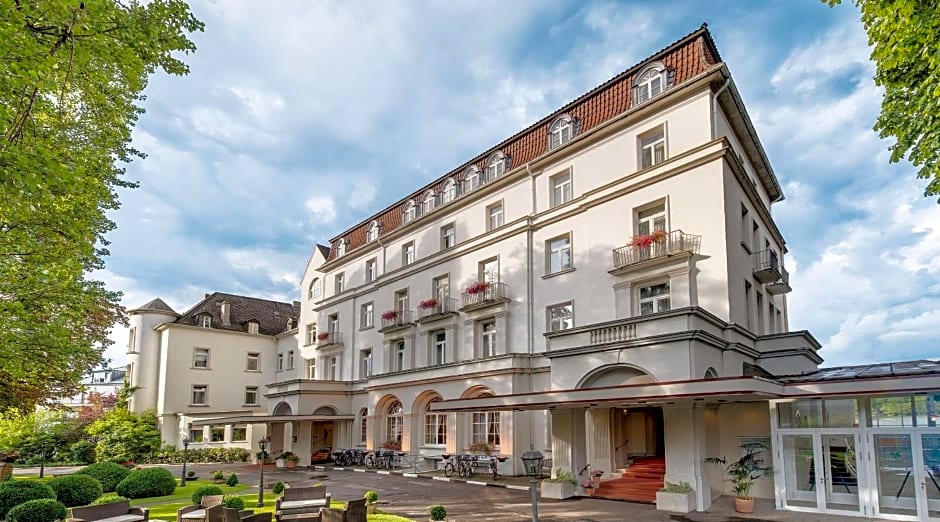 Rheinhotel Dreesen