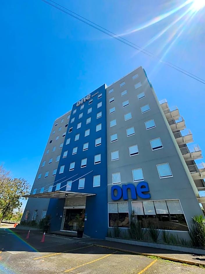 One Xalapa Las Animas