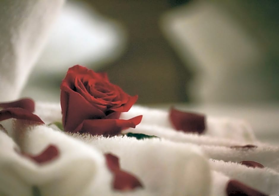 Al Safwah Orchid Hotel