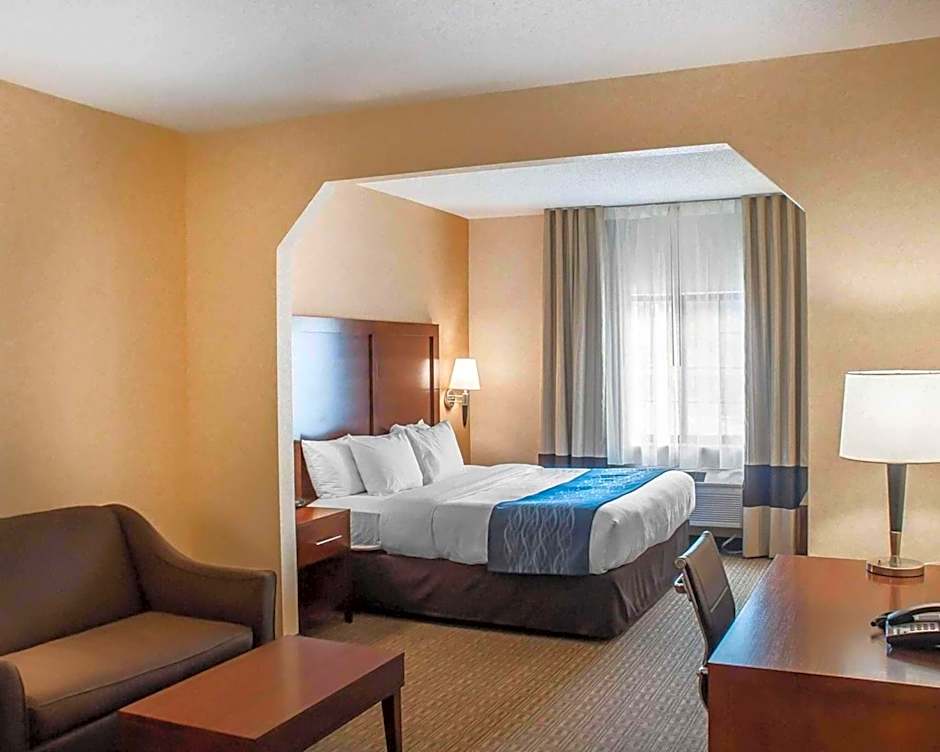 Comfort Inn & Suites Hamburg - Buffalo South