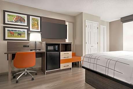 Deluxe King Room - Non-Smoking