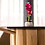 Hotel Mercure Bastia Biguglia