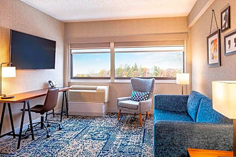 Suite, 1 King, Sofa bed