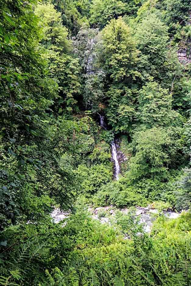 Eco Village In The Forest