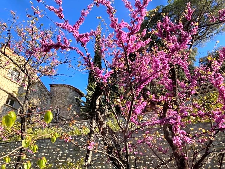 Les Horizons - SPA-JACUZZI - MASSAGE- SAUNA - 4 SAISONS - Piscine chauffée Toute l'année - 800m centre ville Nyons