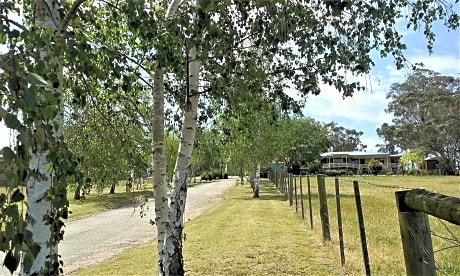 Nicholson BnB and Arts Centre