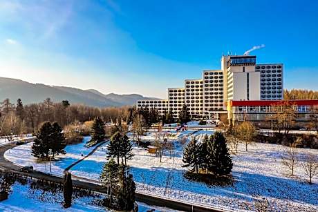 AHORN Berghotel Friedrichroda