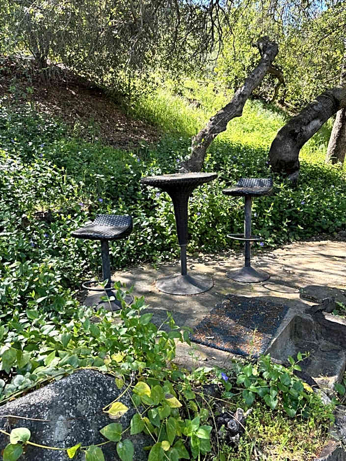 Sequoia River Front Cabins