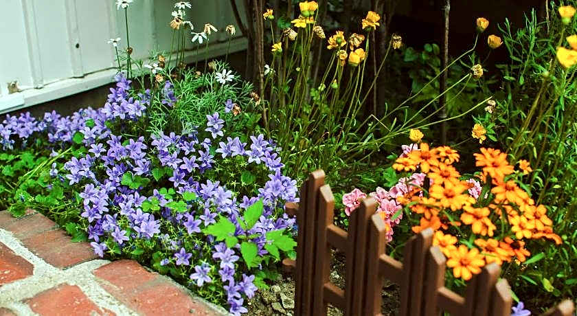 Hostel Mt. Fuji-FUKUYA