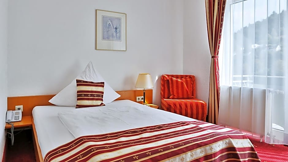 Hotel Neckarlux