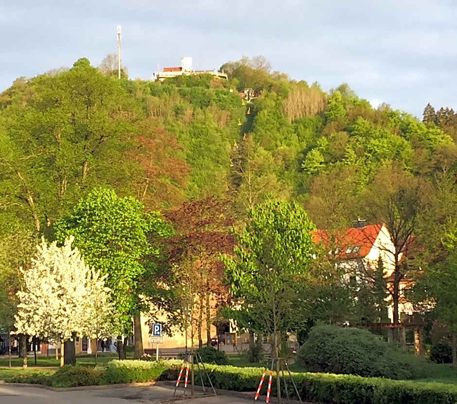 Hotel am Kurpark- Sauna kostenfrei inklusive